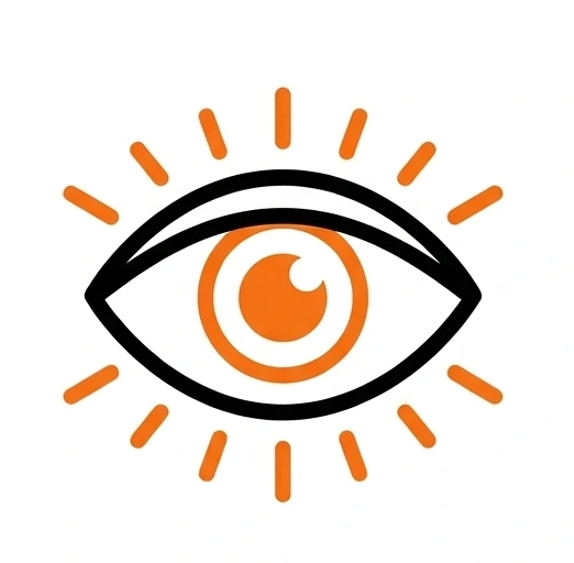 Vision